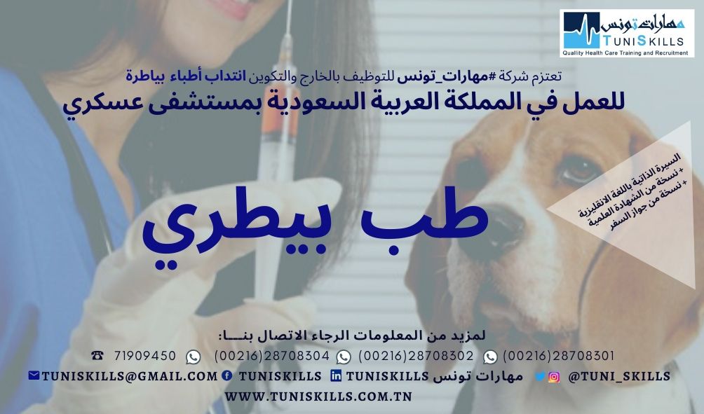 TuniSKILLS offres